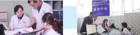 z65.png z65.png